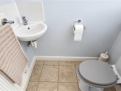 Picture 13